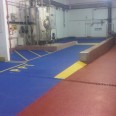 Hygienic food grade flooring 2