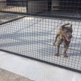 Kennel safe flooring 1